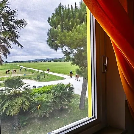 Bed & Breakfast Centro Ippico Andrea