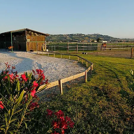 Centro Ippico Andrea 3*