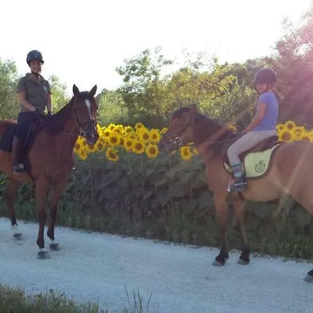 Bed and breakfast Centro Ippico Andrea Porto Recanati