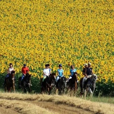 Centro Ippico Andrea Bed and breakfast Porto Recanati